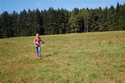 Obrázek v galerii